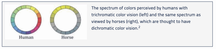 Bucket Color Preferences Among Horses color scale that horses perceive 
